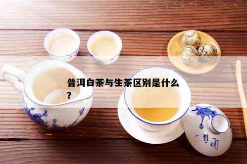 普洱白茶与生茶区别是什么？