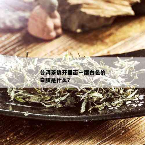 普洱茶撬开里面一层白色的白膜是什么？