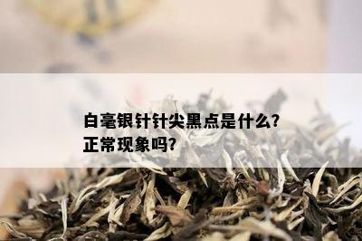 白毫银针针尖黑点是什么？正常现象吗？