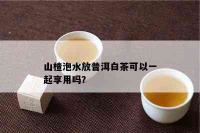 山楂泡水放普洱白茶可以一起享用吗？