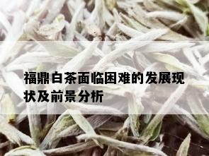 福鼎白茶面临困难的发展现状及前景分析