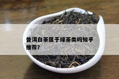 普洱白茶属于绿茶类吗知乎推荐？