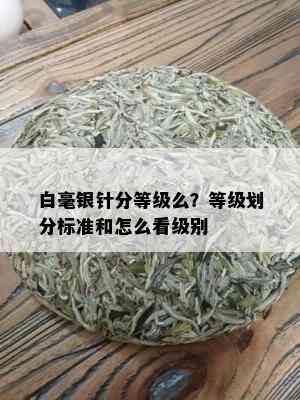 白毫银针分等级么？等级划分标准和怎么看级别