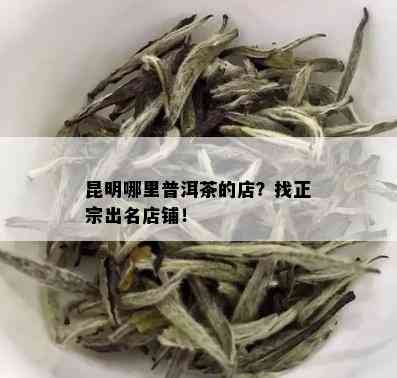 昆明哪里普洱茶的店？找正宗出名店铺！