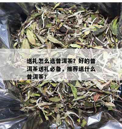 送礼怎么选普洱茶？好的普洱茶送礼必备，推荐送什么普洱茶？