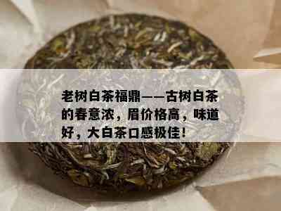 老树白茶福鼎——古树白茶的春意浓，眉价格高，味道好，大白茶口感极佳！