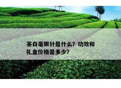 茶白毫银针是什么？功效和礼盒价格是多少？