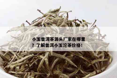 小玉普洱茶源头厂家在哪里？了解普洱小玉沱茶价格！