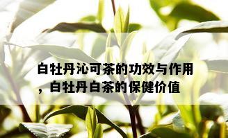 白牡丹沁可茶的功效与作用，白牡丹白茶的保健价值