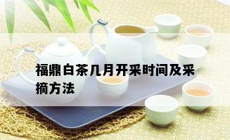 福鼎白茶几月开采时间及采摘方法