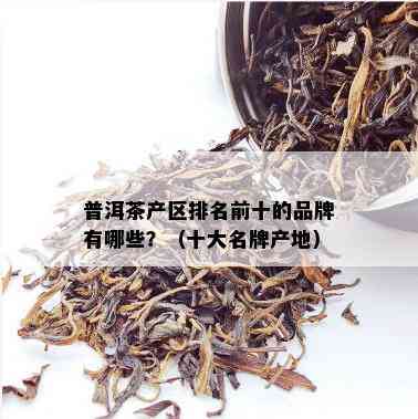 普洱茶产区排名前十的品牌有哪些？（十大名牌产地）