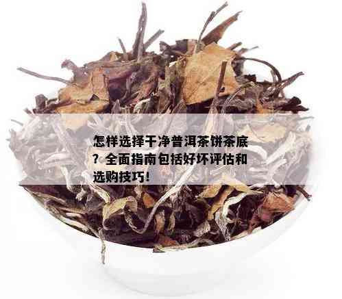 怎样选择干净普洱茶饼茶底？全面指南包括好坏评估和选购技巧！