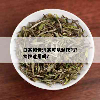 白茶和普洱茶可以混饮吗？女性适用吗？