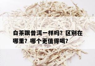 白茶跟普洱一样吗？区别在哪里？哪个更值得喝？