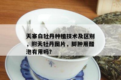 天寨白牡丹种植技术及区别，附天牡丹图片，脚肿用醋泡有用吗？