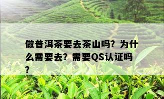 做普洱茶要去茶山吗？为什么需要去？需要QS认证吗？