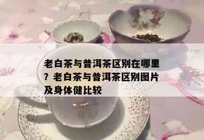 老白茶与普洱茶区别在哪里？老白茶与普洱茶区别图片及身体健比较