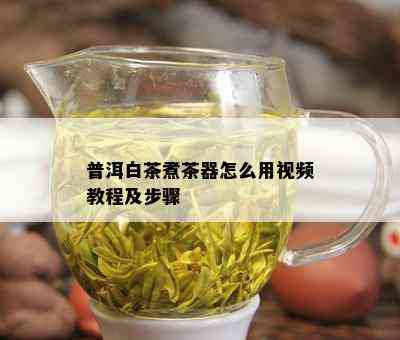 普洱白茶煮茶器怎么用视频教程及步骤