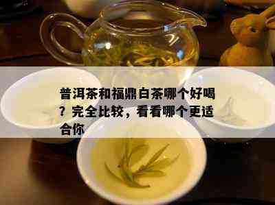 普洱茶和福鼎白茶哪个好喝？完全比较，看看哪个更适合你