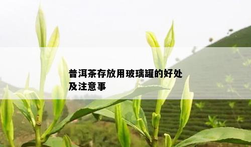 普洱茶存放用玻璃罐的好处及注意事