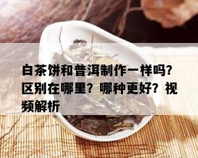 白茶饼和普洱制作一样吗？区别在哪里？哪种更好？视频解析