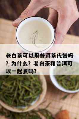 老白茶可以用普洱茶代替吗？为什么？老白茶和普洱可以一起煮吗？