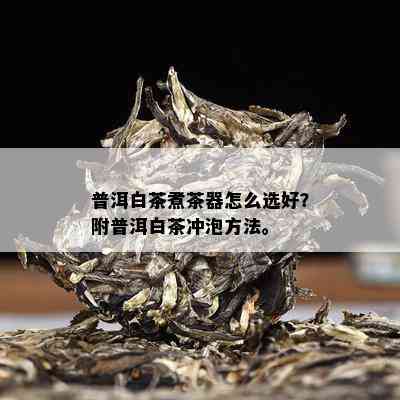 普洱白茶煮茶器怎么选好？附普洱白茶冲泡方法。