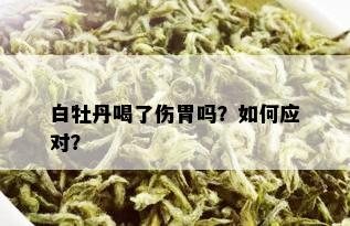 白牡丹喝了伤胃吗？如何应对？