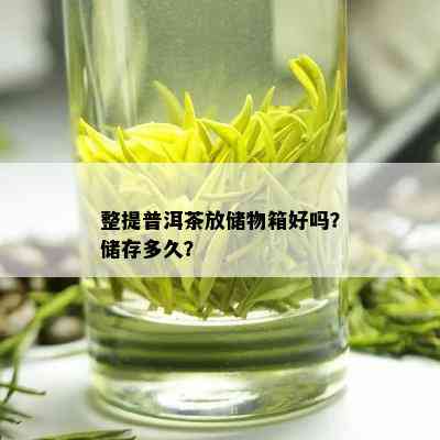 整提普洱茶放储物箱好吗？储存多久？