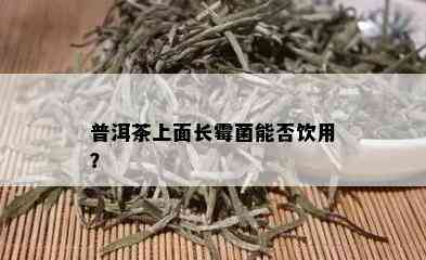 普洱茶上面长霉菌能否饮用？