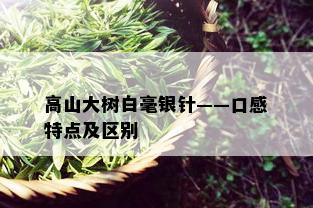 高山大树白毫银针——口感特点及区别