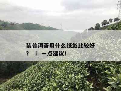 装普洱茶用什么纸袋比较好？ – 一点建议！