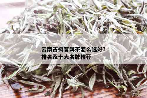 云南古树普洱茶怎么选好？排名及十大名牌推荐