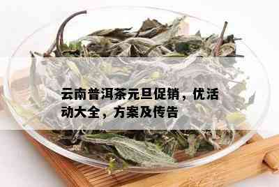 云南普洱茶元旦促销，优活动大全，方案及传告