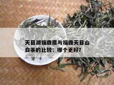 天目湖福鼎眉与福鼎天目山白茶的比较：哪个更好？