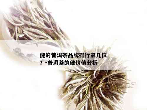 健的普洱茶品牌排行第几位？-普洱茶的健价值分析