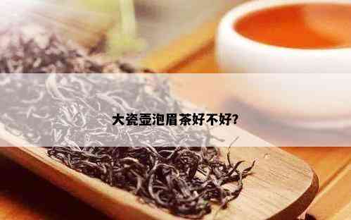 大瓷壶泡眉茶好不好？