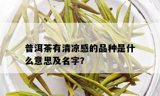 普洱茶有清凉感的品种是什么意思及名字？