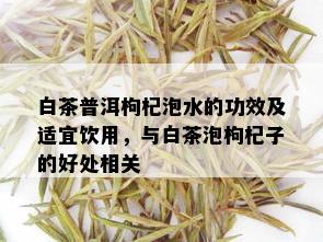 白茶普洱枸杞泡水的功效及适宜饮用，与白茶泡枸杞子的好处相关