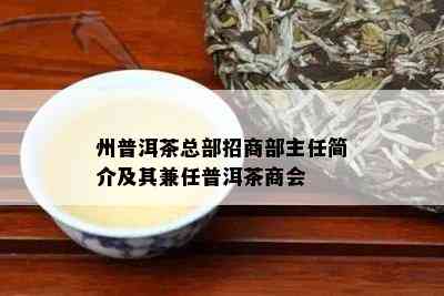 州普洱茶总部招商部主任简介及其兼任普洱茶商会