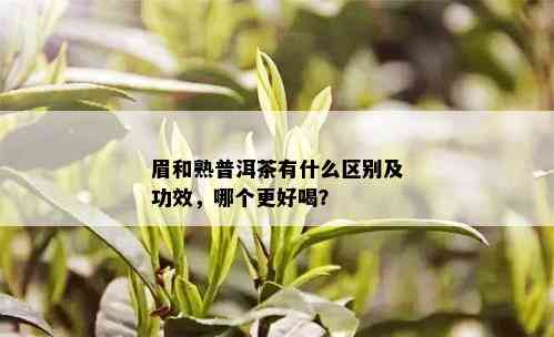 眉和熟普洱茶有什么区别及功效，哪个更好喝？