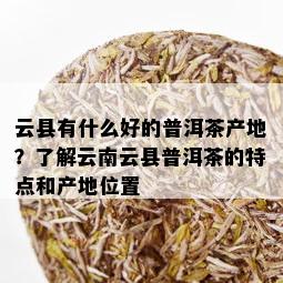 云县有什么好的普洱茶产地？了解云南云县普洱茶的特点和产地位置