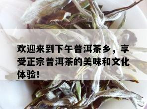 欢迎来到下午普洱茶乡，享受正宗普洱茶的美味和文化体验！