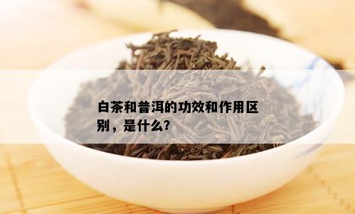 白茶和普洱的功效和作用区别，是什么？