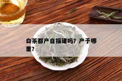 白茶都产自福建吗？产于哪里？