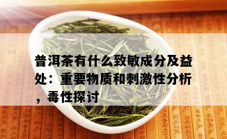 普洱茶有什么致敏成分及益处：重要物质和 *** 性分析，性探讨