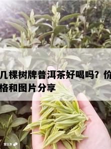 几棵树牌普洱茶好喝吗？价格和图片分享