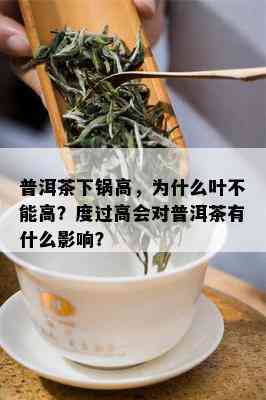 普洱茶下锅高，为什么叶不能高？度过高会对普洱茶有什么影响？