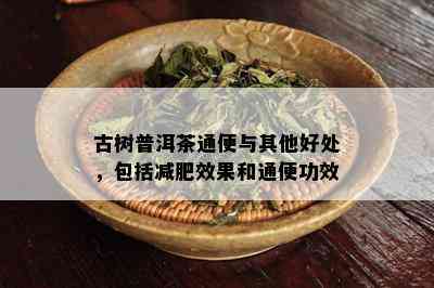 古树普洱茶通便与其他好处，包括减肥效果和通便功效