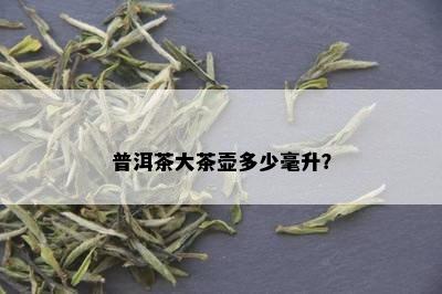 普洱茶大茶壶多少毫升？